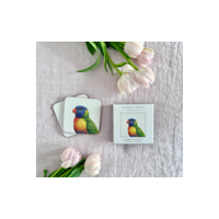 Jeremy Boot Set of 4 Rainbow Lorikeet (Trichogossus haematodus) Coasters