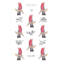 Jeremy Boot Galah Cotton Tea Towel