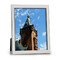 Silver-plated Leo 20 x 25cm (8" x 10") Photo Frame