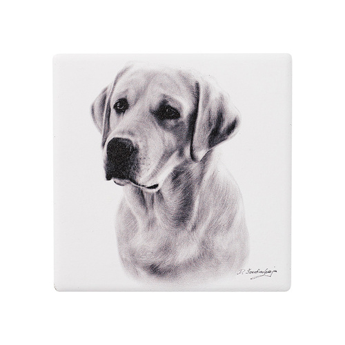 Delightful Dogs Collection Labrador 10cm Square Ceramic Coaster