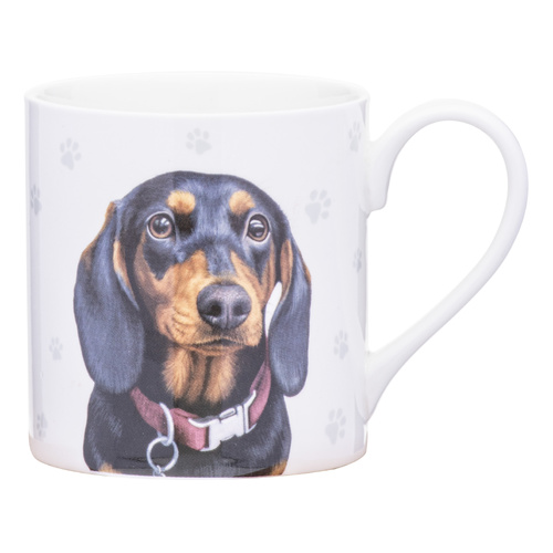 Ashdene Paws & All Dachshund 380ml Mug