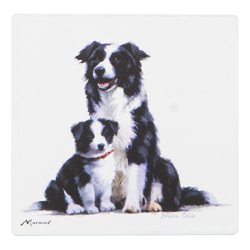 Puppy Love Collection Border Collie 10cm Square Ceramic Coaster