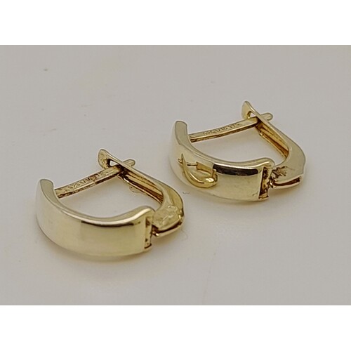 9 Carat Yellow Gold Sterling Silver Filled Hinged Hoop Earrings