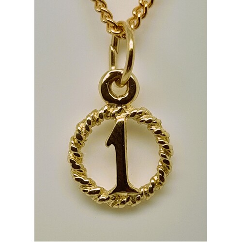 9 Carat Yellow Gold Round Rope Circle 1 Charm/Pendant