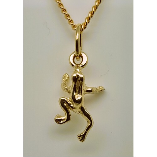 9 Carat Yellow Gold Small Frog Charm/Pendant